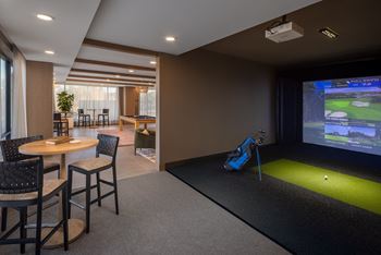 Golf and multi-sport simulator
